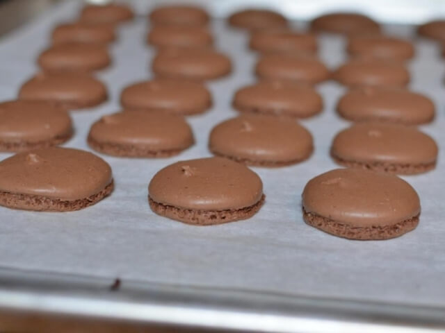 Chocolate Macaroons Photo 7