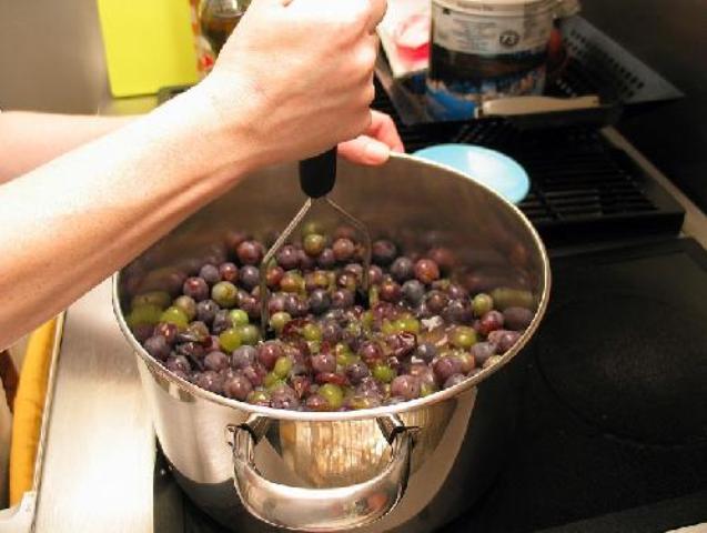 Grape Jelly Photo 3