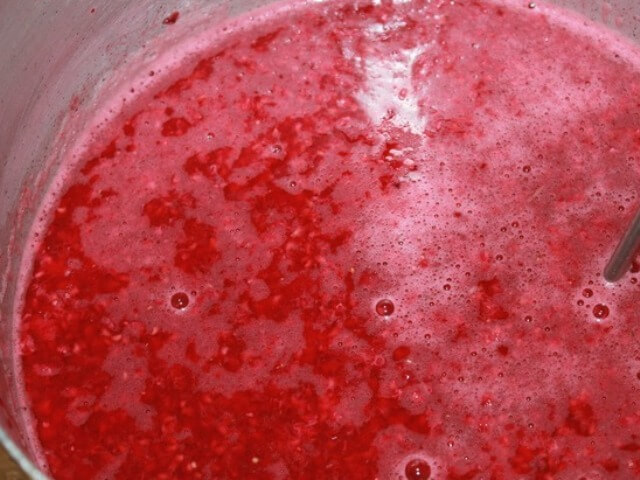 Raspberry Jelly Photo 3