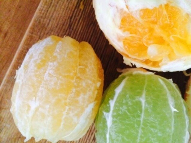 Citrus Refresher Photo 7