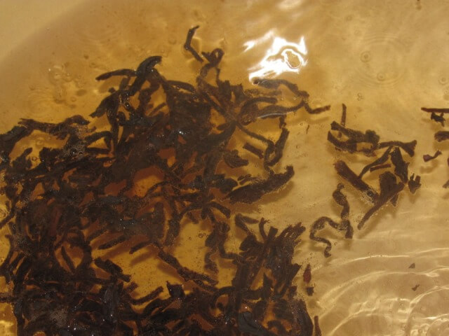 Tea with Spices Photo 2