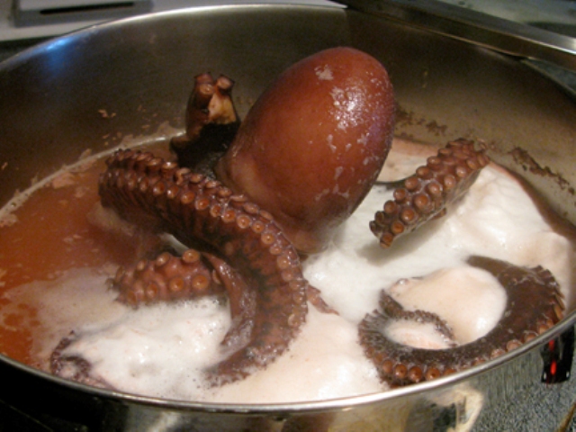 Octopus Salad Photo 3