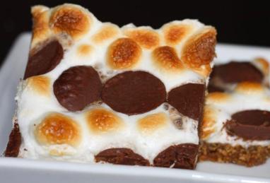 Easy S'Mores Bars Photo 1