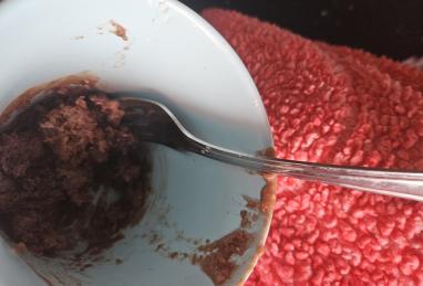No Egg Chocolate Mug Cake Photo 1