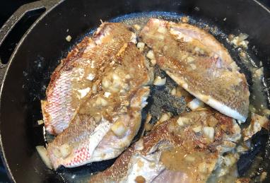 Pan-Seared Red Snapper Photo 1