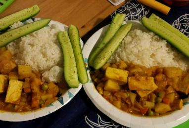 Quick and Easy Vegetable Curry Photo 1
