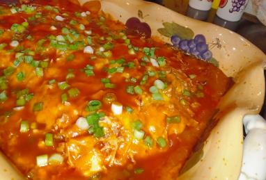 Mexican Chicken Tortilla Lasagna Photo 1