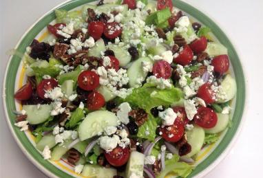 Blue Cheese and Dried Cranberry Tossed Salad Photo 1