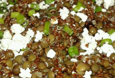 Cranberry Lentil and Quinoa Salad Photo 1