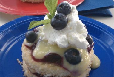 Blueberry Lemon Shortcake Photo 1