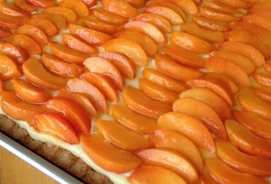 Tieton Apricot Tart with Basil Custard Photo 1