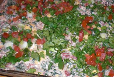 Mexican Spinach Dip Photo 1