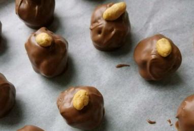 Chocolate-Covered Peanut Butter Balls Photo 1