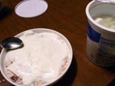 Yogurt Oatmeal Photo 8