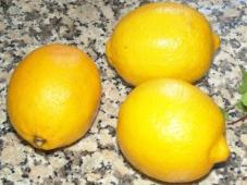 Lemon Liqueur “Lemonchello” Photo 2