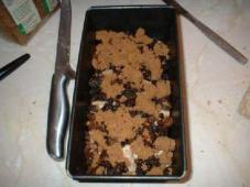 Bread and Butter Pudding Photo 6