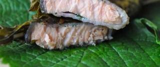 Grilled Salmon in Vine Leaves Photo