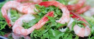 Seafood Salad with Ruccola (Insalata di mare con la rucola) Photo