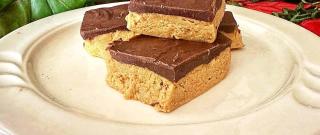 Chocolate Peanut Butter Protein Bars Photo