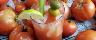 Ripley's Bloody Mary Mix for Canning Photo