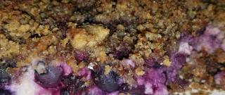 Blueberry Pie with Flax and Almonds Photo