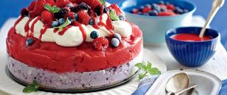 Red, White, and Blue Ice-Cream Cake Photo