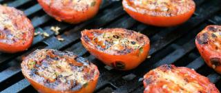 Grilled Tomatoes Photo