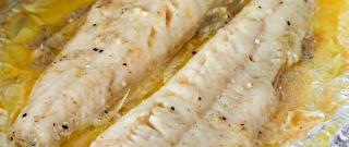 Awesome Grilled Walleye Photo