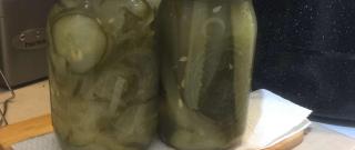 Mustard Pickles Photo