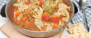 Slow Cooker Chicken Vegetable Soup with Egg Noodles Photo