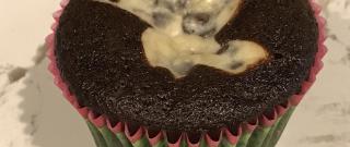 Black Bottom Cupcakes Photo