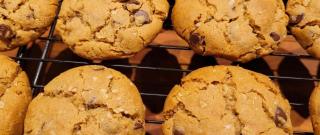 Outrageous Chocolate Chip Cookies Photo