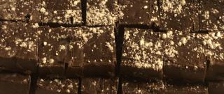 Dark Chocolate Peppermint Fudge Photo
