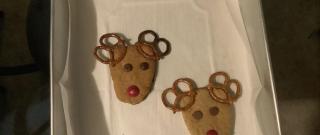 Reindeer Cookies Photo