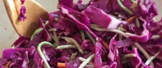 Red Cabbage Salad Photo