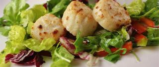 Broiled Scallops Photo