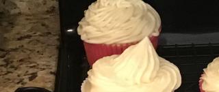 Vanilla Cupcakes from Scratch Photo