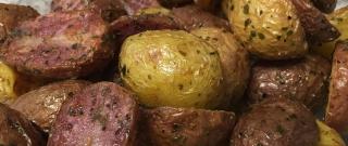 Air Fryer Garlic and Parsley Baby Potatoes Photo
