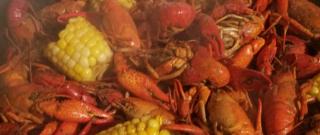 Louisiana Crawfish Boil Photo