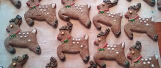Gingerbread Cookies Photo