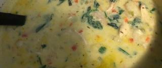 Creamy Chicken Gnocchi Soup Photo