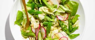 Butter Lettuce Salad with Dijon-Tarragon Vinaigrette Photo