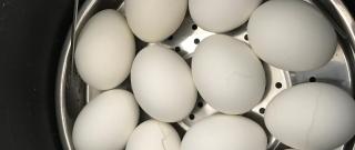 Pressure Cooker Hard-Boiled Eggs Photo
