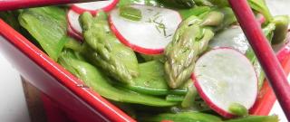 Asparagus, Snow Pea, and Radish Salad Photo