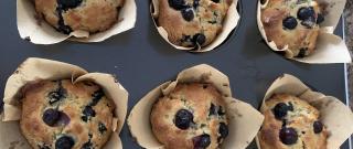Almond Flour Blueberry Muffins Photo