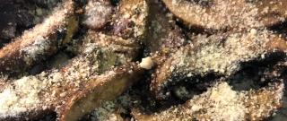 Easy Portobello Mushroom Saute Photo