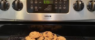 Blueberry Oatmeal Cookies Photo