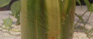 Blue Ribbon Horseradish Pickles Photo