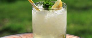 Vodka Lemonade with Mint Photo