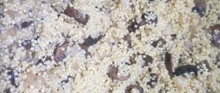Quinoa with Mushrooms Photo